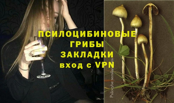 СК Аркадак