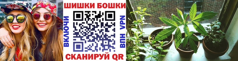 Канабис White Widow  как найти закладки  Бодайбо 